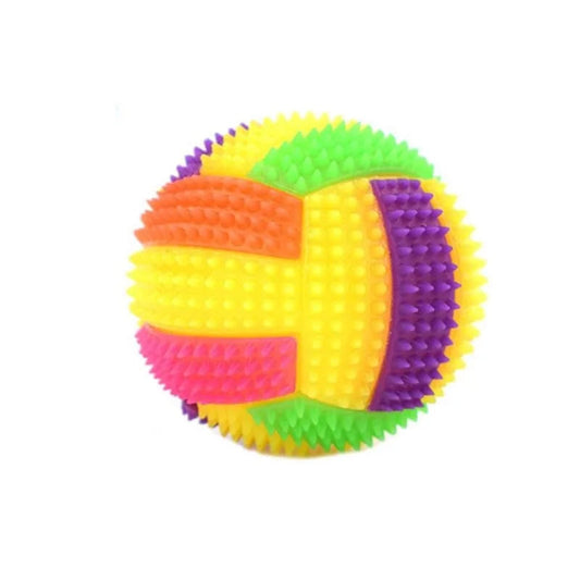 Balle lumineuse chien