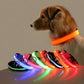 Collier fluo chien