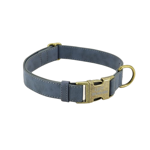 Collier pour petit chien personnalisé