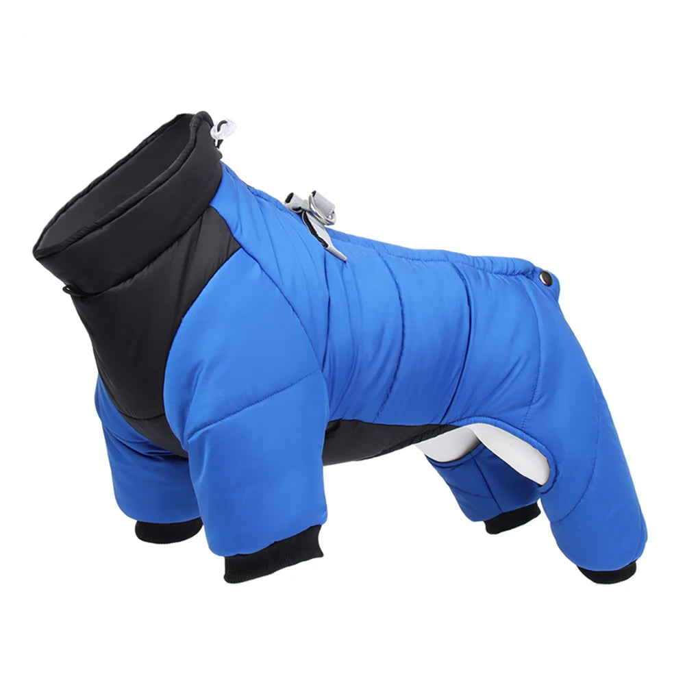 Manteau chien pluie