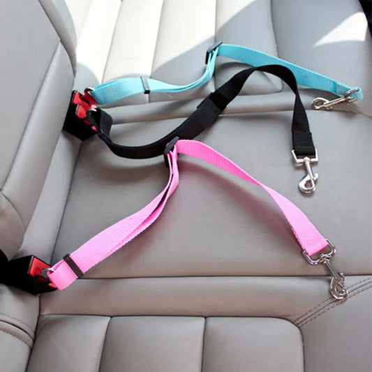 Ceinture pour chien en voiture