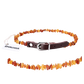 Collier ambre chien