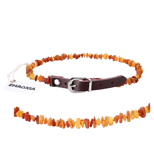 Collier ambre chien