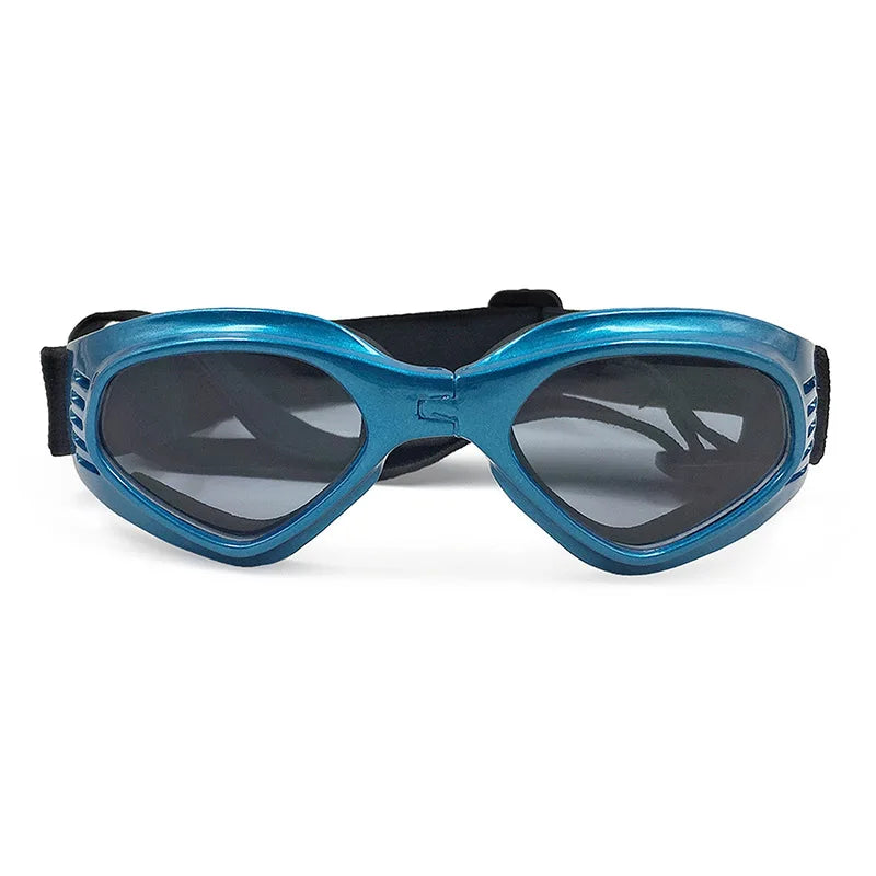 Lunette de vue pour chien