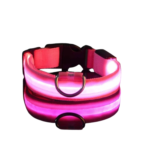 Collier fluo chien
