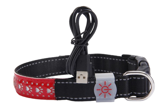Collier lumineux chien rechargeable