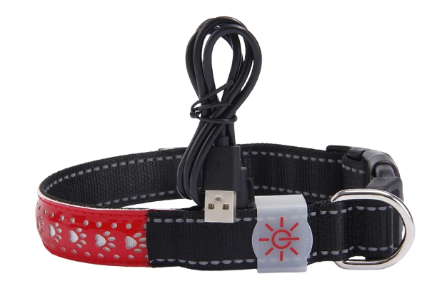 Collier lumineux chien rechargeable