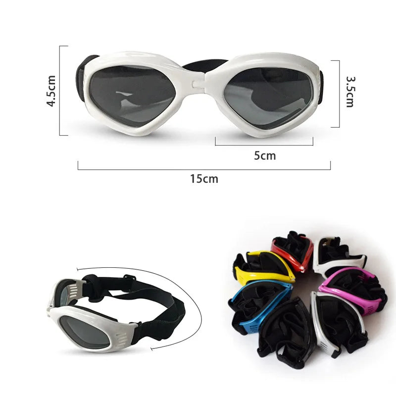 Lunette de vue pour chien