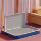 Litiere pour chien appartement