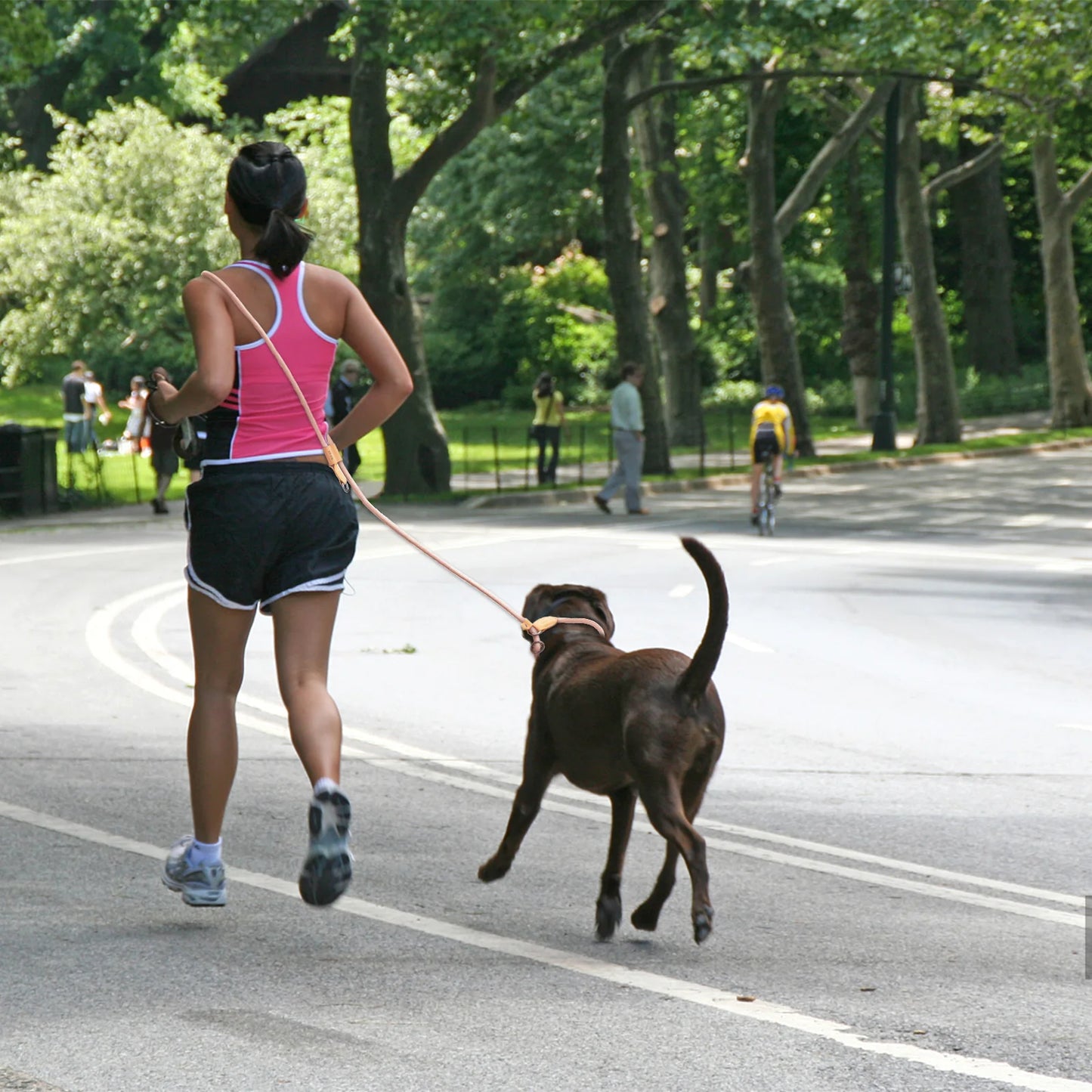 Laisse mains libres pour chiens