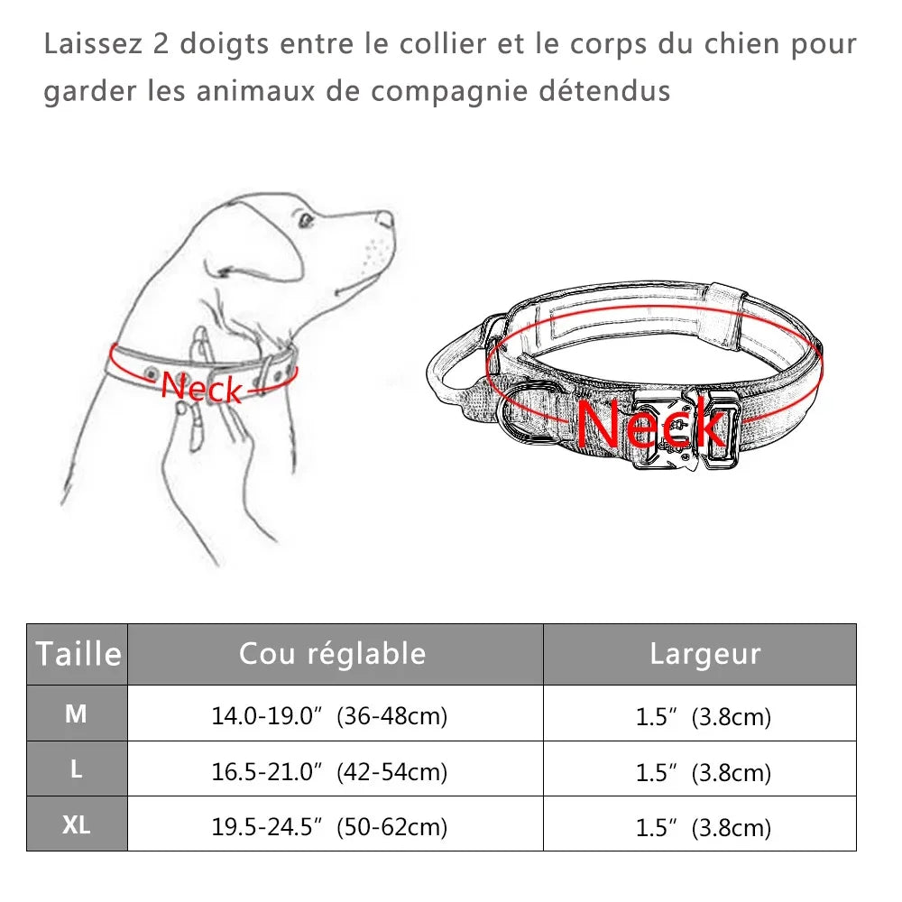 Collier et laisse pour chien