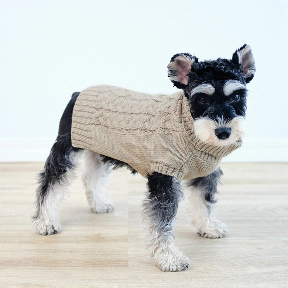 Manteau chien en laine