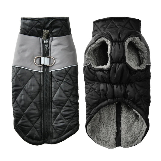 Veste polaire pour chien