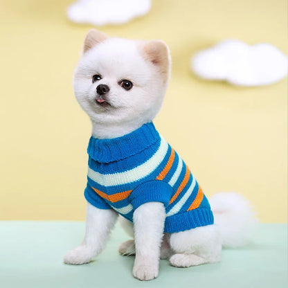 Pull en laine pour chien