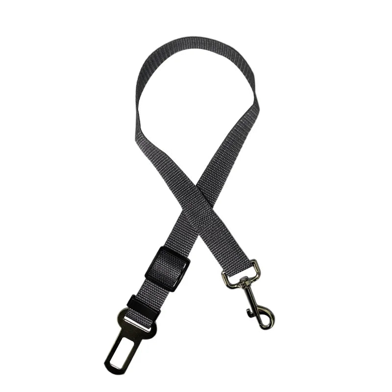 Ceinture de sécurité pour gros chien