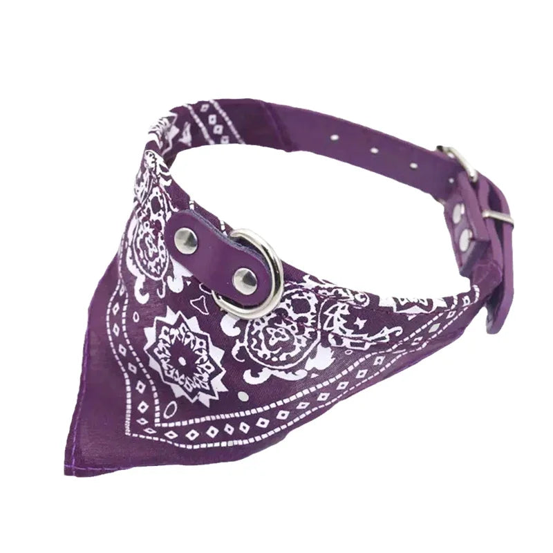 Bandana chien violet