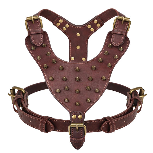 Harnais cuir chien