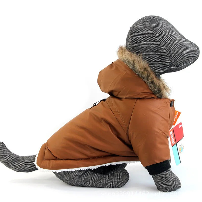 Manteau chien fourrure