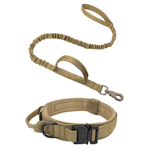 Collier et laisse pour chien