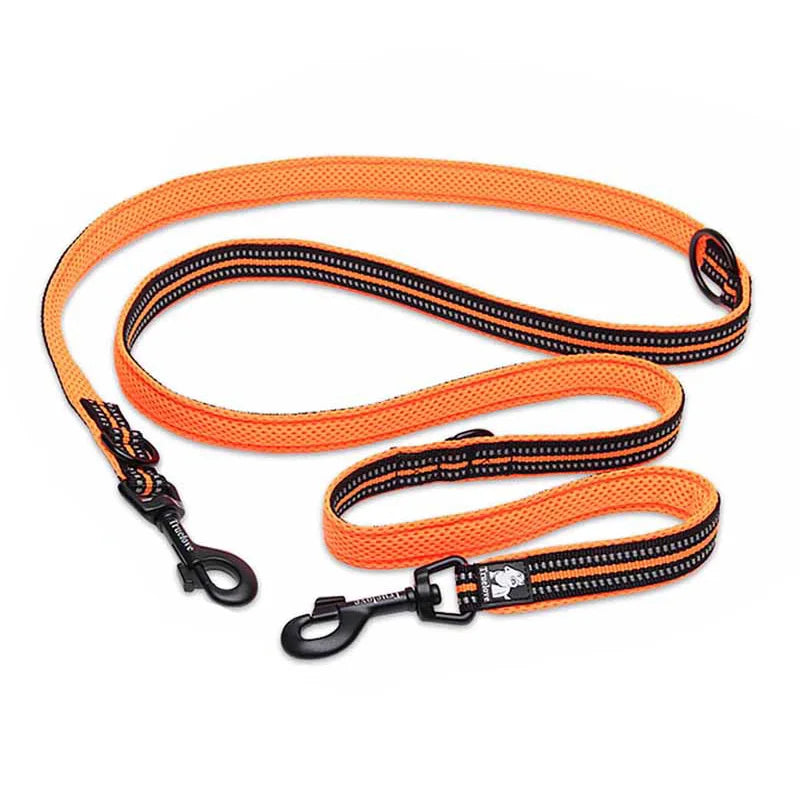 Laisse chien nylon