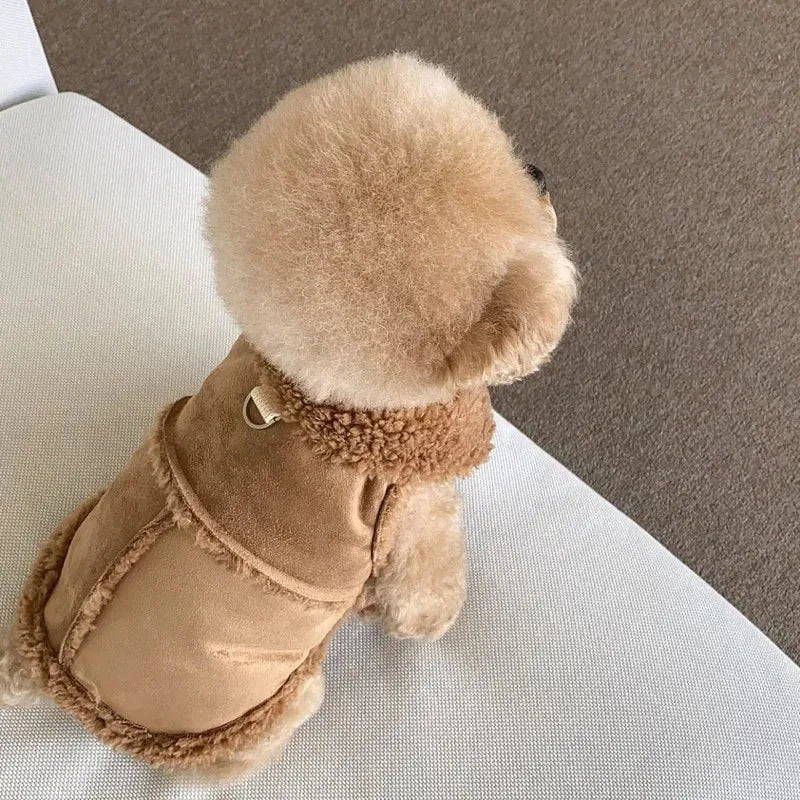 Manteau chien haut de gamme