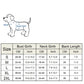 Pull en laine pour chien