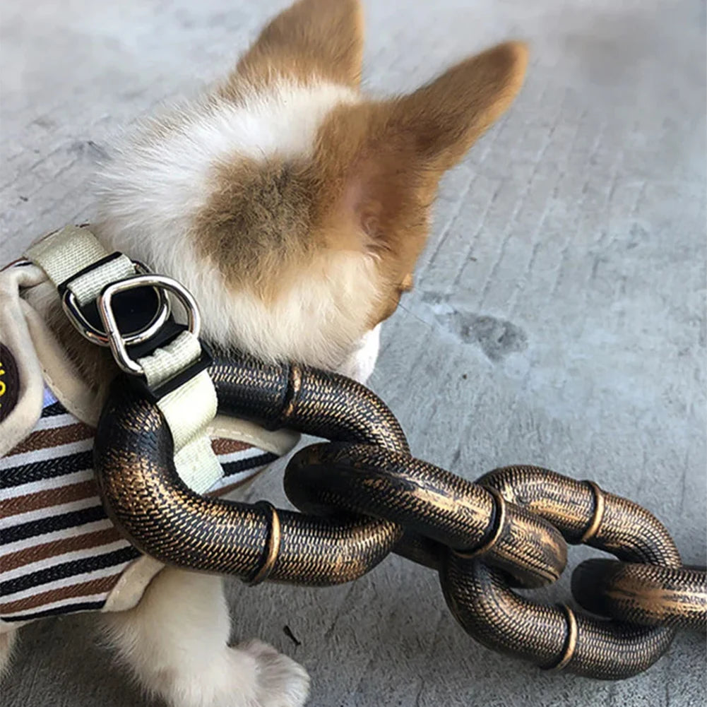 Laisse petit chien